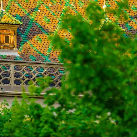 Le 19 Kleber Climatise * コルマール