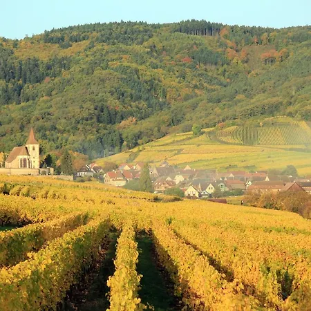 Apartament Le 19 Kleber Climatise *