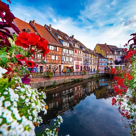 Le 19 Kleber Climatise * Colmar