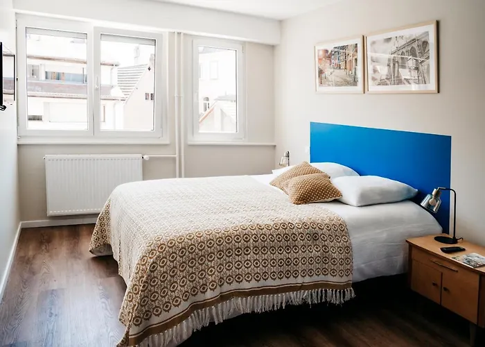 Le 19 Kleber Climatise Апартаменты Кольмар